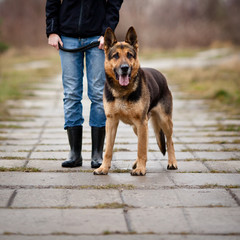 Master and her obedient (German shepherd) dog