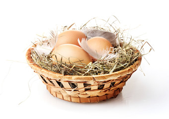 chicken eggs in a nest isolated on white