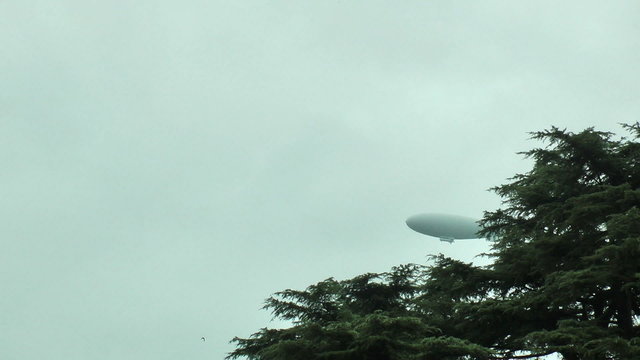 Blimp crossing above trees