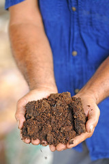 hands with soil