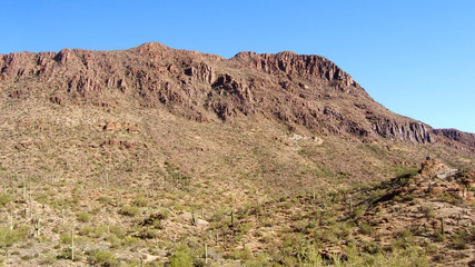 Fototapeta na wymiar Saguaro National Park - Arizona - USA