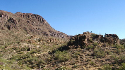 Fototapeta na wymiar Saguaro National Park - Arizona - USA