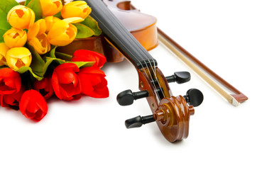 Fototapeta premium Violin and tulip flowers on white