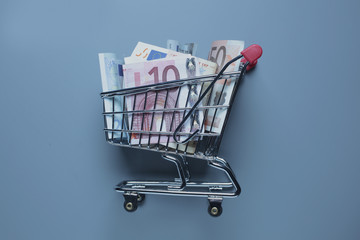 Einkaufswagen mit Banknoten Euro