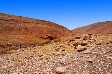 Israel Desert