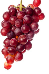 bunch of red grapes