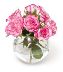 pink roses in vase