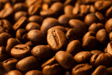 Coffee beans closeup background