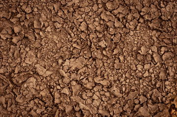 Dry soil closeup before rain