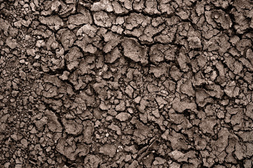 Dry soil closeup before rain