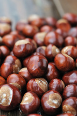 chestnuts