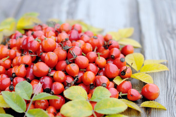 rose hips