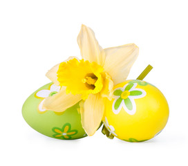 narcissus with Easter eggs on a white background