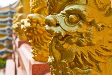 Golden dragon pillars