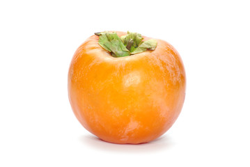persimmon