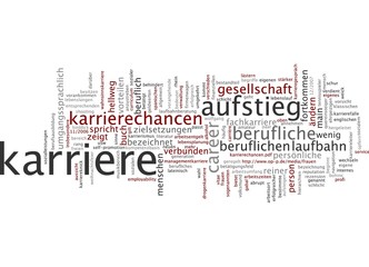 Karriere