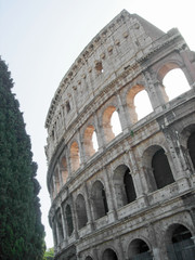 Fototapeta premium Colosseum, Rome