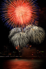 Celebration fireworks on black sky background