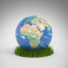 Earth globe in grass