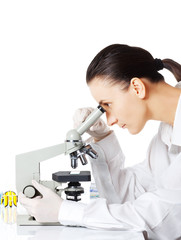 Scientist looking through a microscope in a laboratory