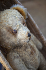 Ours, peluche, nounours, jouet, jeu, doudou, brocante