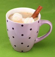 Cup of cappucino with marshmallows and cinnamon