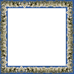 flower frame