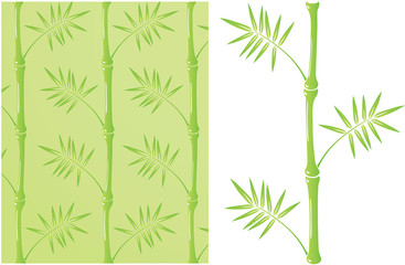 Fototapeta na wymiar bamboo shoots with three branches