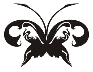 Black butterfly  isolated on a white background