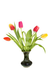 Fototapeta na wymiar Tulips in a vase