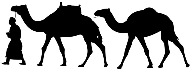 Karawane Kamele Silhouette - obrazy, fototapety, plakaty