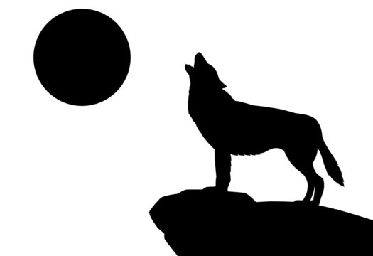 Heulender Wolf Silhouette Landschaft Tiere Wald
