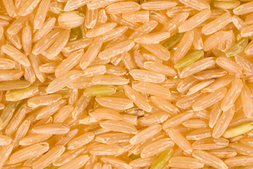 Whole rice grains