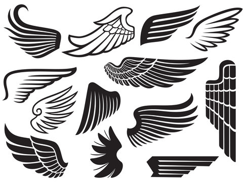wings collection (set of wings)