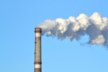 Smoking pipes of factory
