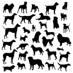 Set of dogs silhouette. Vector.