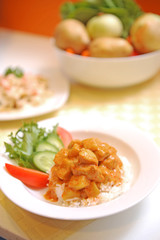 Rice with Chicken Stew Plate
