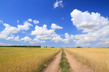 Obraz premium Road among