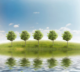 Fototapeta premium panorama of green field with a trees on blue sky background