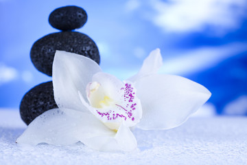 Still life, with orchid flower, zen
