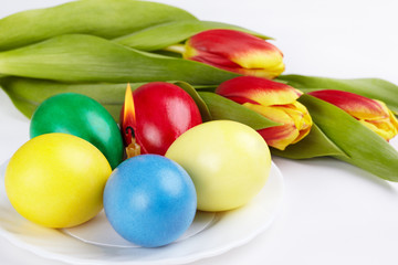 Easter still life of painted eggs and tulips