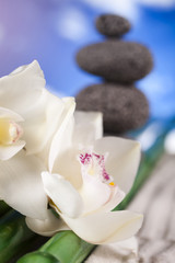Naklejka na ściany i meble Still life, with orchid flower, zen