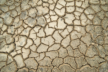cracked ground