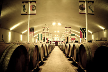 Wine barrels in cellar