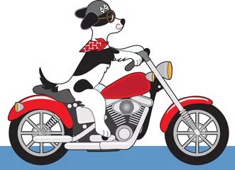 Foto op Plexiglas hond motorfiets © Maria Bell