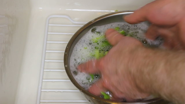 Hands Washing Celery in a Bowl of Soapy Water in the Sink