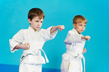 two boys make karate exercises © Kadmy