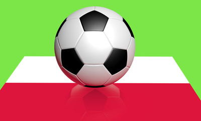 Euro 2012 football and poland flag