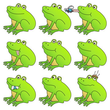 Frog mega set