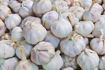 garlic in market